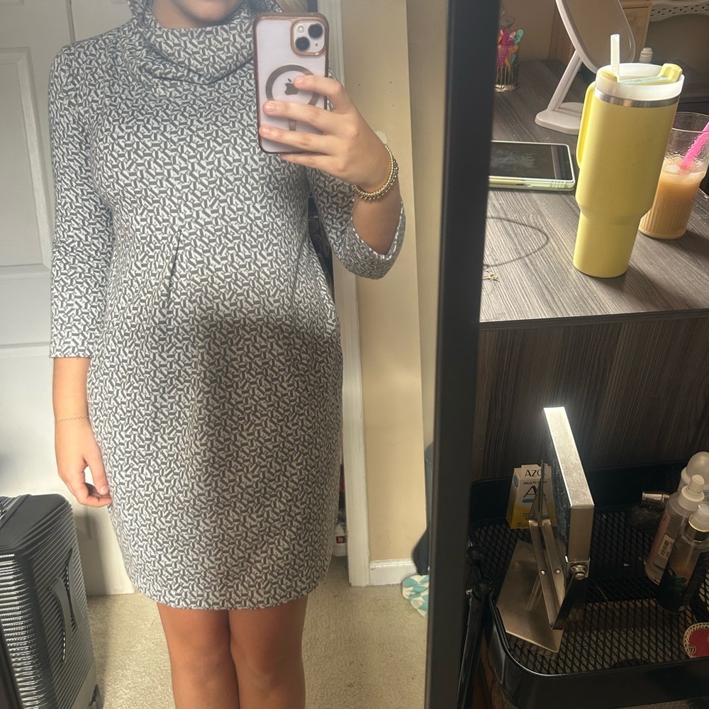 Tyler Boe Gray Cowl Neck Sweater Dress